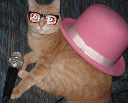 speshul kat