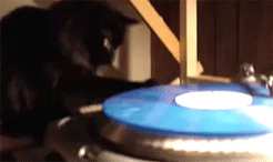 carl spins the hottest of jams