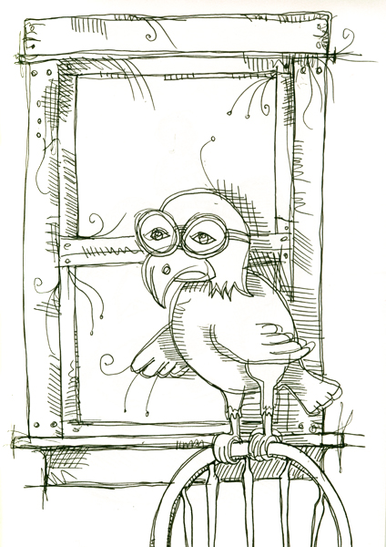 indoor bird
