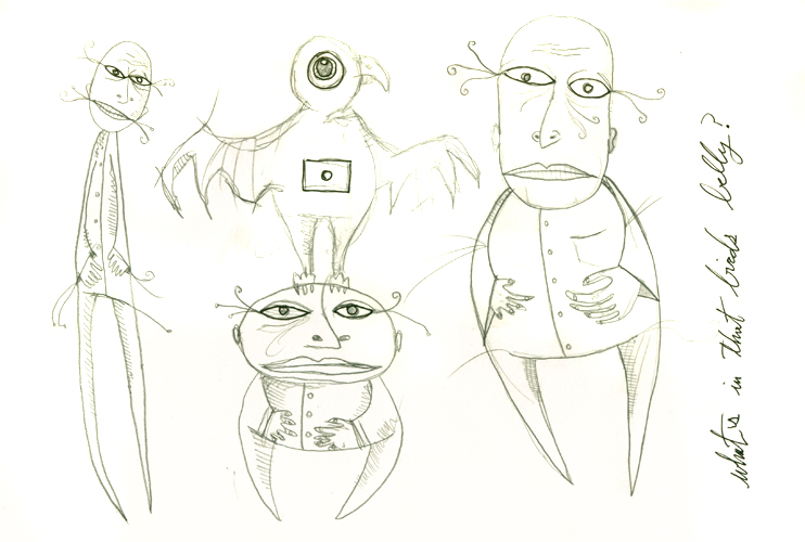 bird belly