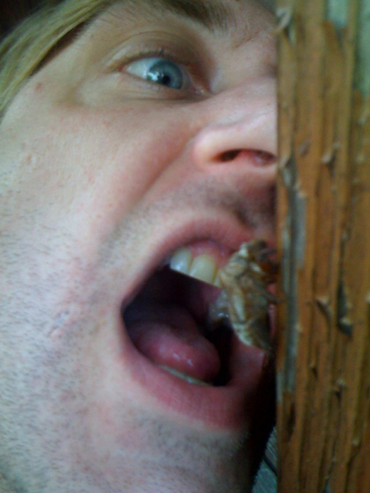 zabby will eat you zabby will eat you