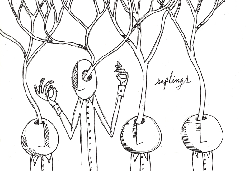 saplings