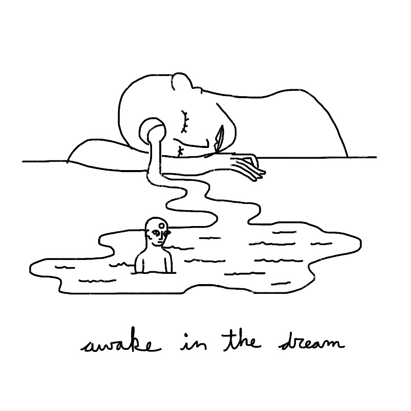 awake in the dream